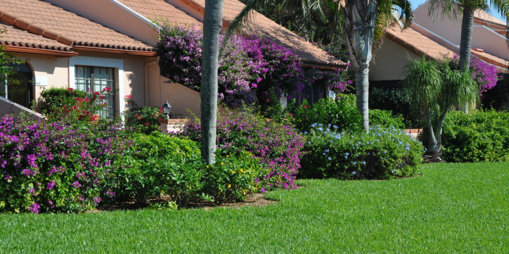Best Plants for Landscaping in Florida